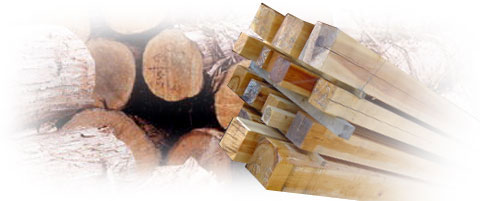 建築で使用される材木については「内国材」と「外材」に大別されます。サイセンホームでは日本の風土、気候に合った内国材の檜で家造りをします。檜の特性は堅くてしっかりとした材種です。当社では檜の120�o角柱を標準仕様としています。